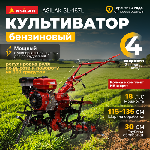     ASILAK SL-187L (AS1556-1)  -     , -  