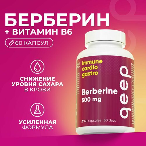 ���� �������� 500 �� Qeep 60 ������