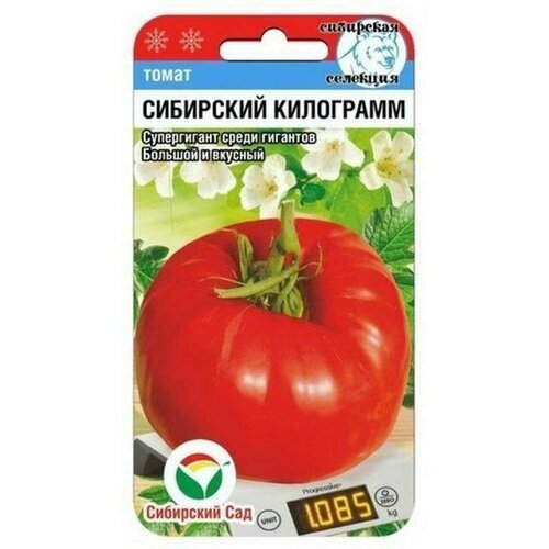 ���� ������ ����� ��������� ���������, ������������, (��������� ���) 20��