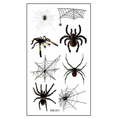 ���� ���������� ���� ��������� ����� ��������