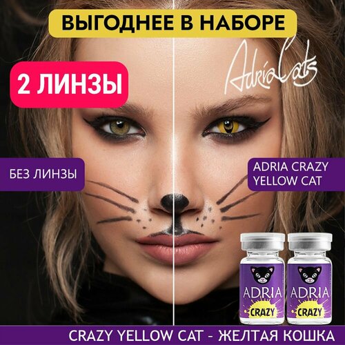     ADRIA Crazy, 2 ., R 8,6, D 0, yellow cat, 2 .  -     , -  