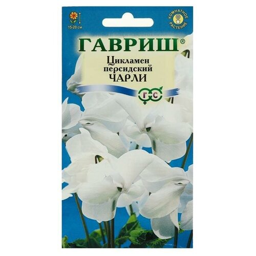 ���� ������ ������ 