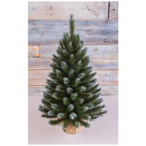 ���� ��� ������������� Triumph Tree ������ � ������� �����������, 90 ��