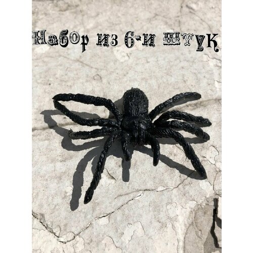 ���� ������� ���� ������ ����� 6 ��