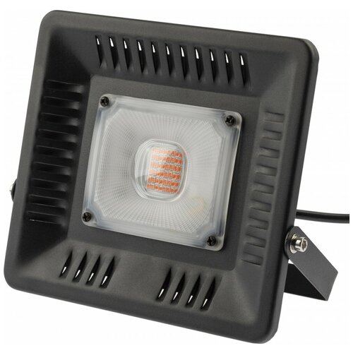     FITO-50W-LED BLUERED  -     , -,   