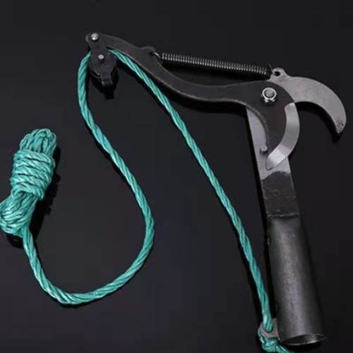 ���� �������� � ��������