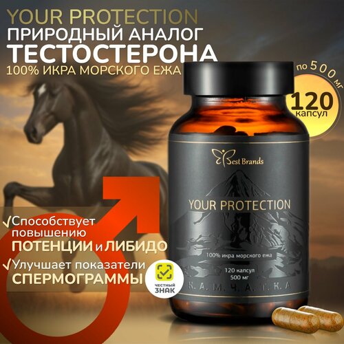   YOUR PROTECTION - 100%   .    . (120 )  -     , -  