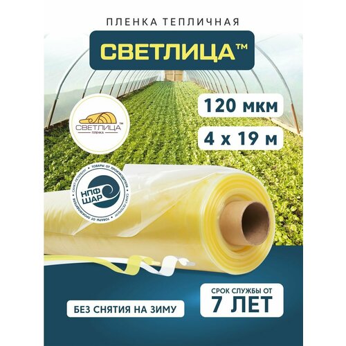 ���� ������ ��� ������ � �������� �������� 4x19 �, 120 ���, ����������, �����������