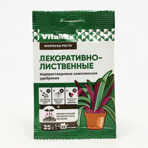     -, VitaMix, 25 (4 .)  -     , -,   