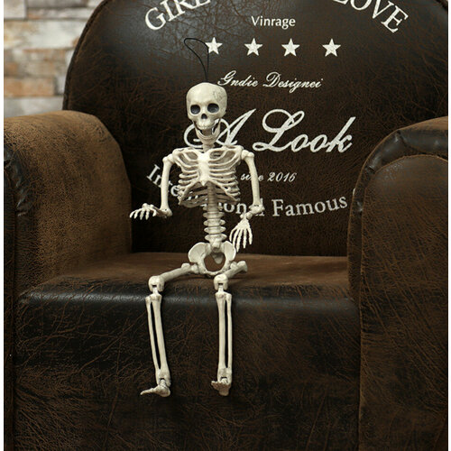 ���� ������ � ���������� ������������, ������ 36 ��, ��������� �� ��������� � ����� ��������