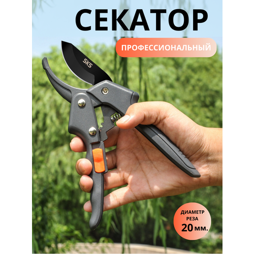 ���� ������� ��� ���� ����������������