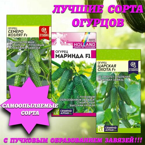 ���� ������ ����� ������������� �������� �������. ������ �����