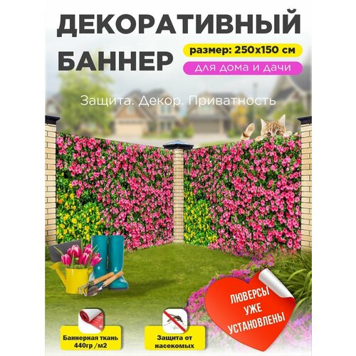 ���� ��������� ������ �� ����� � ��������� 250�150 ��