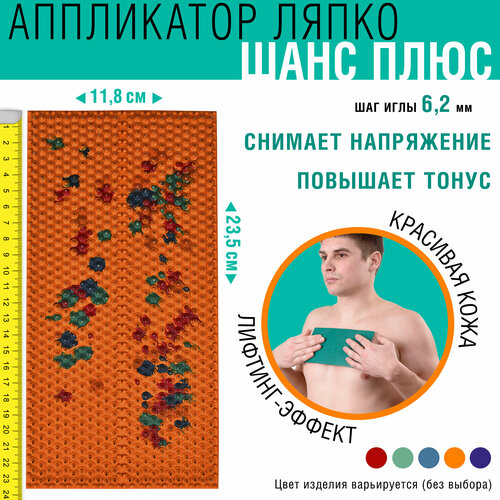 ���� ������ ����� ���� ���� (23.5x11.8 ��), ��� ��� 6.2 ��, ����: � ������������