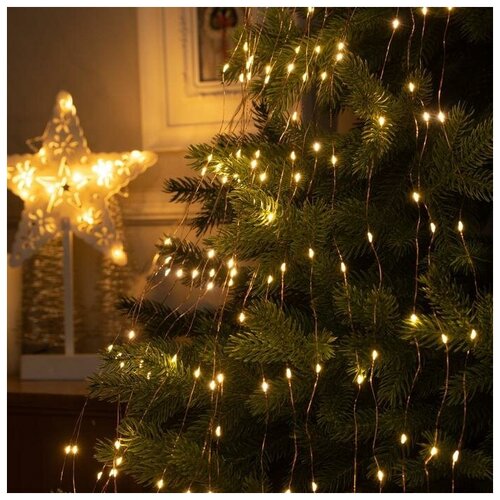 ���� �������� �������� ����� 20 ����� �� 2 �, IP20, ������ ����, 400 LED, �������� ����� �����, 12 �