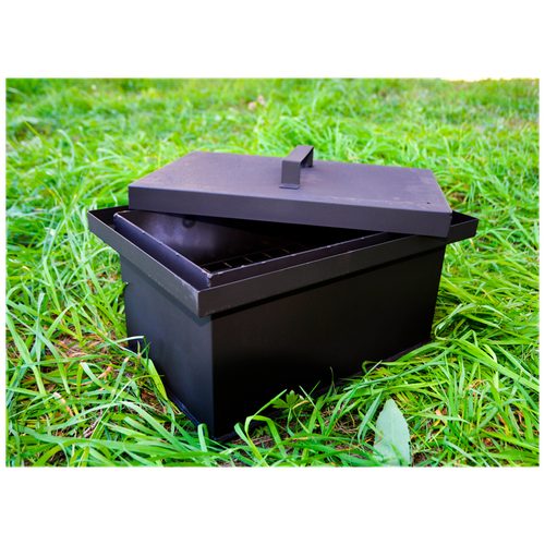 ���� ��������� �������� ������