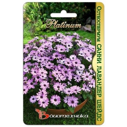 ���� ������ ������������� 