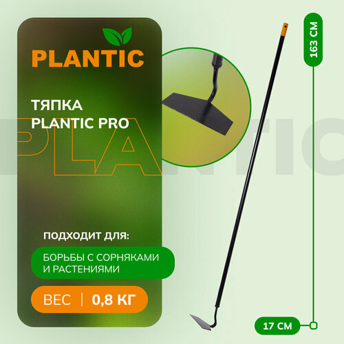    Plantic Solid  -     , -  