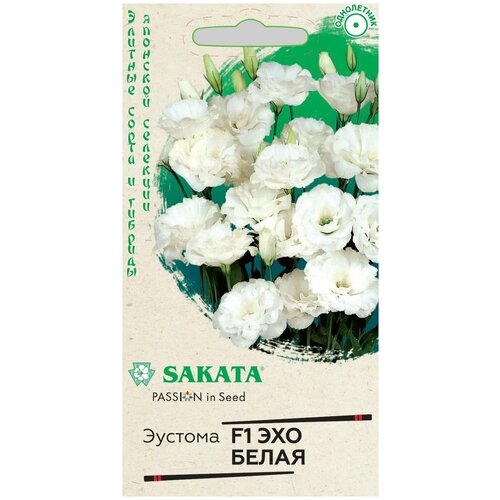 ���� ������� ��� ����� F1 ������. ��������, ������