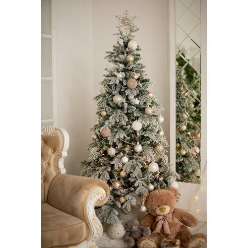 ���� ������������� ���� �����������, �����+���, 150��