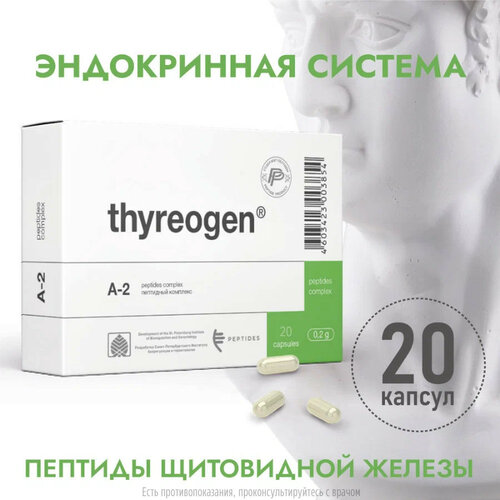 ���� �������� ����., 20 ��.