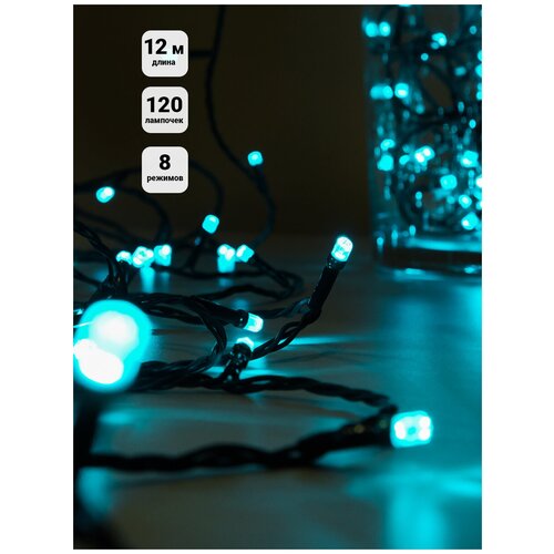 ���� �������� ���� 12 � � ���������� ������������ SHLights �������� DC-ILD120-�OG