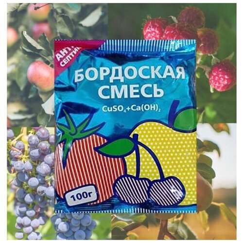 ���� �������� ������ �������� �� ��������� ����������� ��������� ����� ��� ������������� ��������� �������� ��� ������� ��������� ���� , 100�