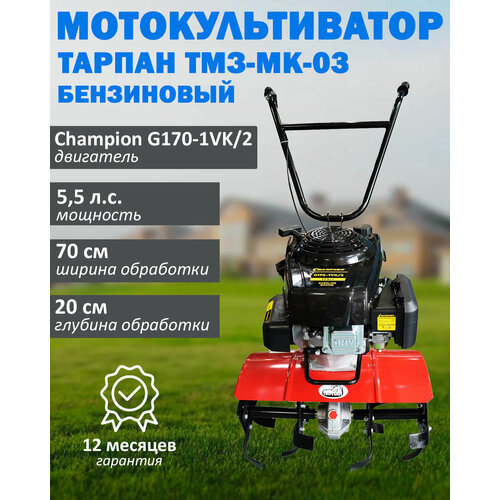 ���� ��������������� ���������� ������ ���-��-03 � ���������� Champion G200VK/2, �������� 6 �. �, ����� 196 ���. ��