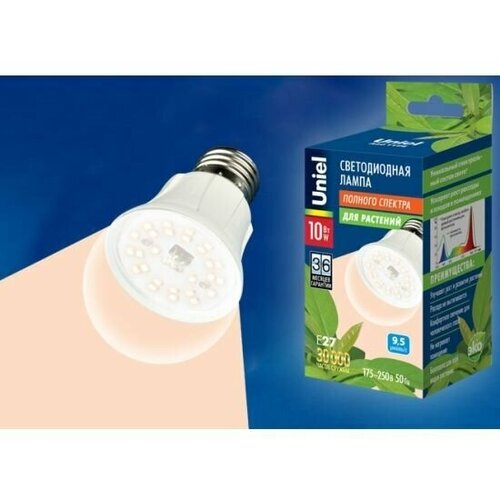         LED-A60-10W/SPFR/E27/CL PLP01WH  -     , -,   