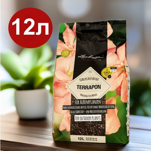           LECHUZA TERRAPON 12   -     , -  