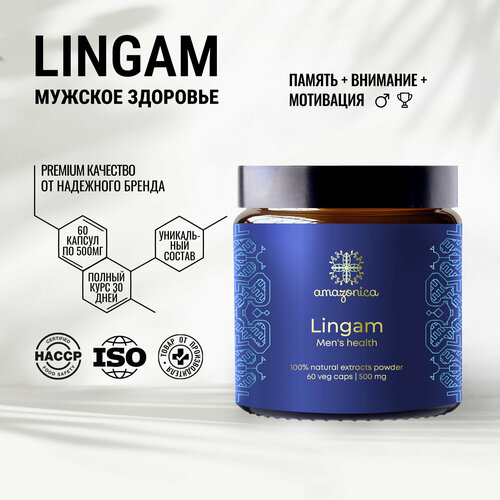     Lingam 60  500 Amazonica.    ,   , .  .  . .  -     , -  