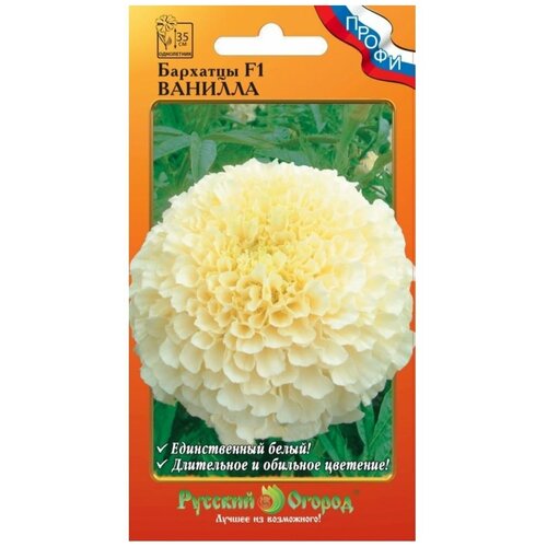 ���� ������. �����. �������� F1 