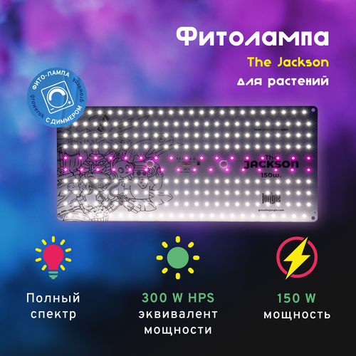   LED  The Jackson 150W    -     , -,   