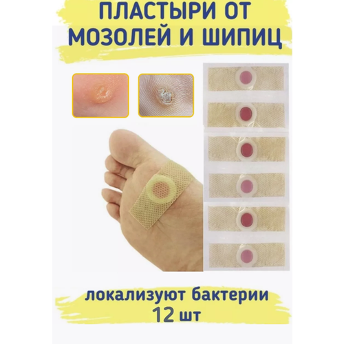 ���� �������� �� ������, 12 ��. ( 2 ����� �� 6)