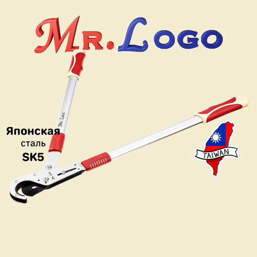       Mr.Logo . 3650      -     , -  