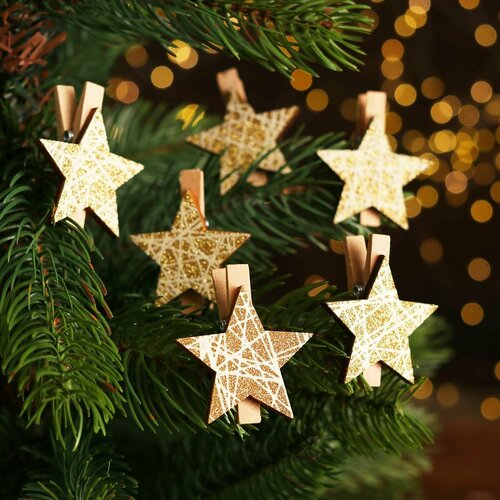 ���� ������������ �������� ���������� 