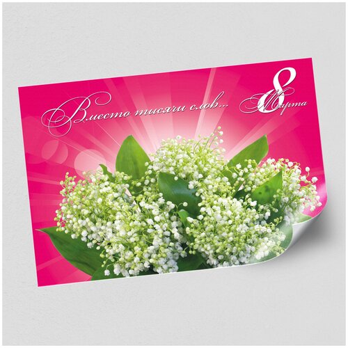 ���� ����������/������ �������������� �� 8 �����, ������ �-2 (60x42 ��.)