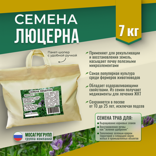 ���� ������ ������� ������������ 7�� �����