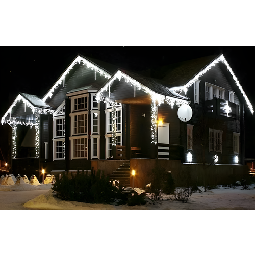 ���� ������� �������, �������� ������������, �������������� �������������, ����� ��� 2025, 12 �, �������� �����, ������ �����