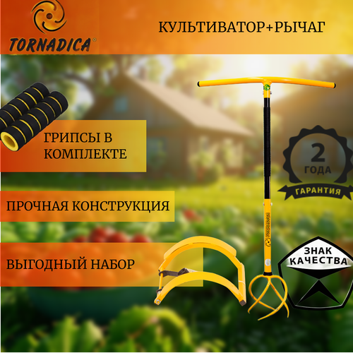 ���� ������� ����������� � �������-�������� + ����� (���������) / ������ ����������� � �����-������ (TORNADICA)