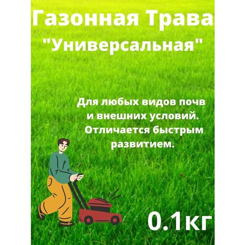 ���� �������� ����� 