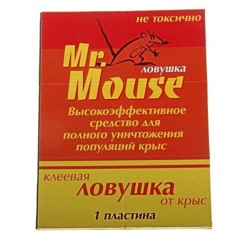    MR. MOUSE      /50
