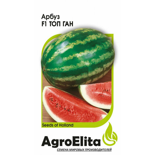       F1, 5, AgroElita  -     , -  