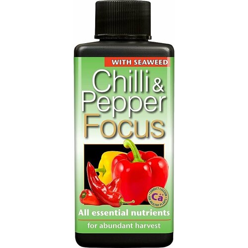      Chilli Focus Growth Technology 100 .  -     , -,   