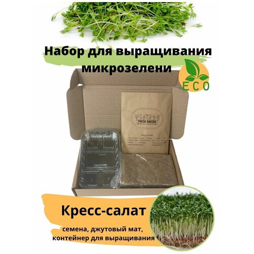       - Fresh Greens ( -,  ,   )  -     , -,   