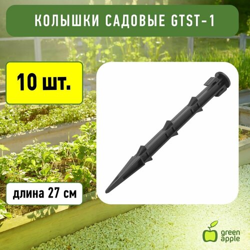     GTST-1 GREEN APPLE  ,   27, 10   -     , -,   