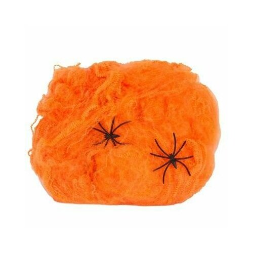 ���� ������������ ������������� ������� ��������� �� �������� � ��������, ������������ ���������