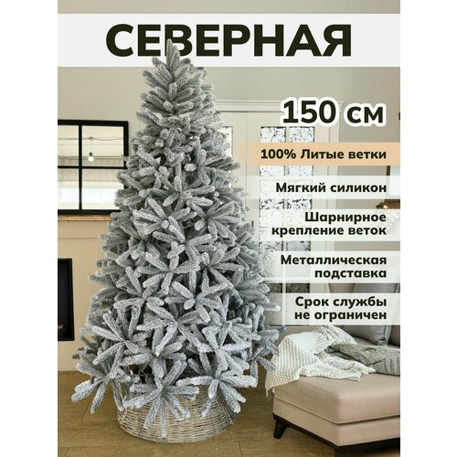 ���� ���� ������������� ���������� ����� �� ������