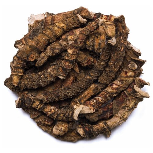 ���� ��� �������� (��� ������������) ������ �������, ���������, ���������, ��� ���, ���������������, ��� �������� 100 ��.