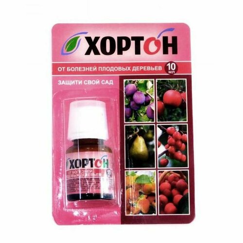 ���� ������, �� �������� �������� �������� 10�� (���� ���������)